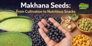 Makhana seeds cultivation to roasted fox nuts snacks process showing lotus plant, raw seeds, and flavored makhana bowls